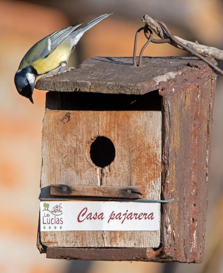 Las Lucias, Experiencias De Ecoturismo Navatrasierra Εξωτερικό φωτογραφία