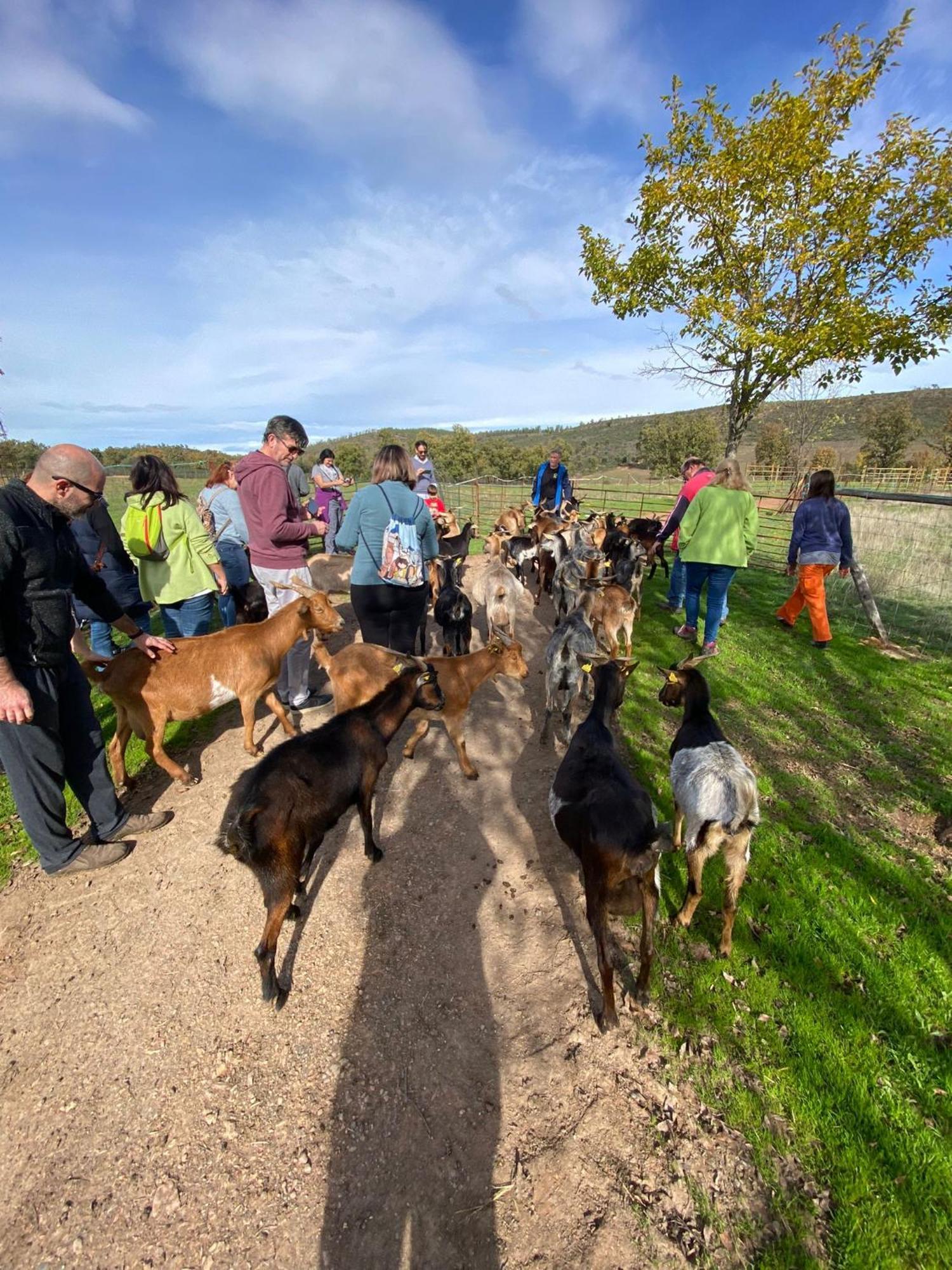 Las Lucias, Experiencias De Ecoturismo Navatrasierra Εξωτερικό φωτογραφία