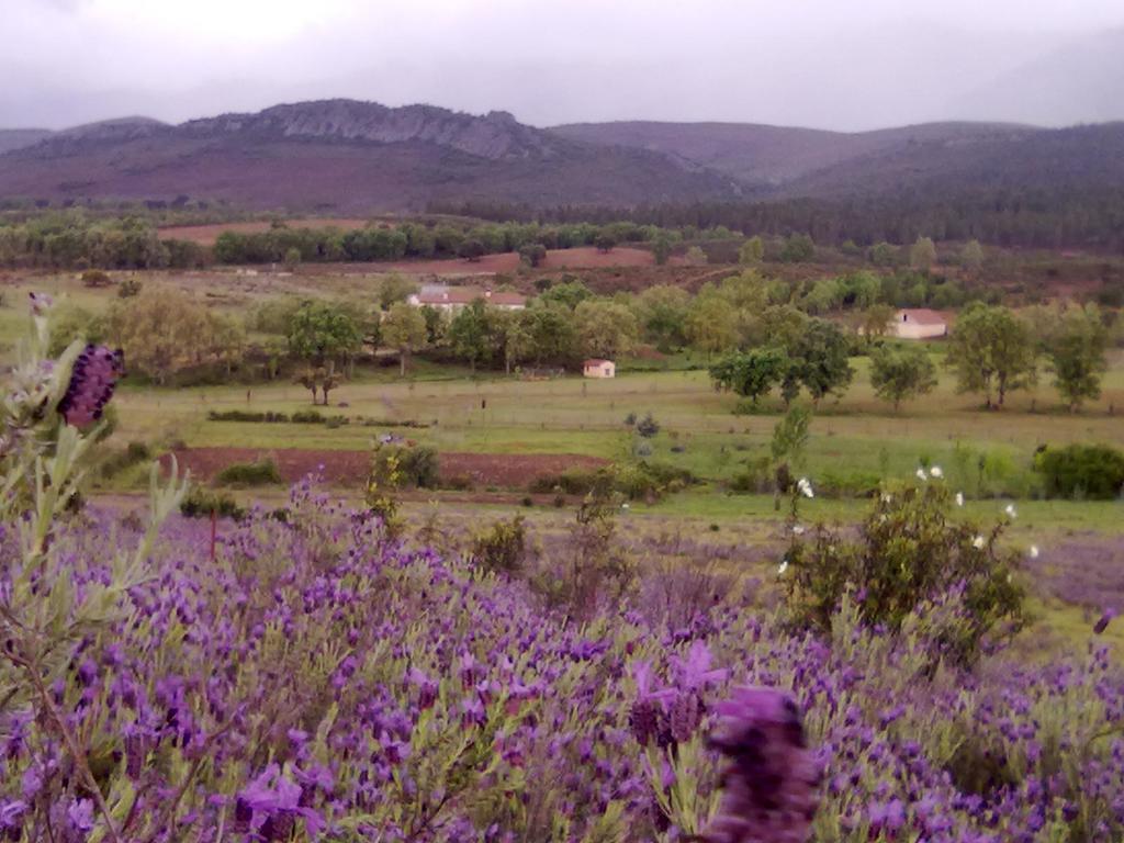 Las Lucias, Experiencias De Ecoturismo Navatrasierra Εξωτερικό φωτογραφία